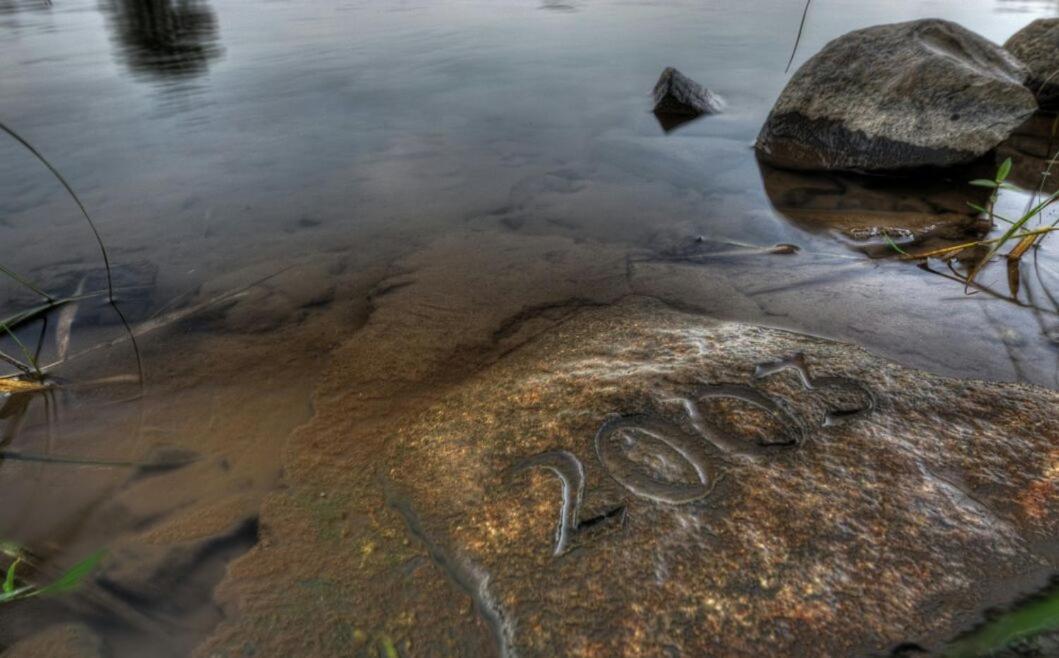 Schmidtalien Schlemmen Und Schlummern Dommitzsch ภายนอก รูปภาพ